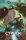 Warhammer 40k Cypher: Lord of the Fallen (Paperback) – Roman